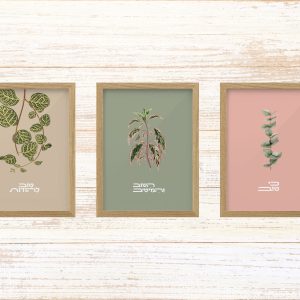 שלישיית תמונות ממוסגרות לעיצוב הבית פרינט בעיצוב נקי עם איורים בוטנים של צמחים בגווני ורוד עתיק ירוק זית בהיר ובז׳ צמחים נופלים ענף עולה לתליה מעל ספה בסלון אוירה רגועה